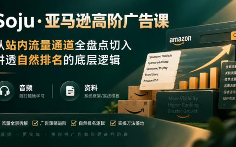 亚马逊高阶广告课：站内流量盘点+自然排名坑产底层逻辑
