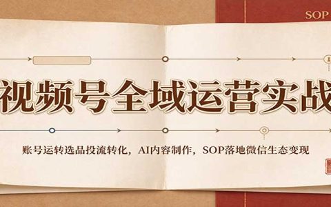 视频号全域运营实战：AI带货短视频+投流SOP+微信生态变现