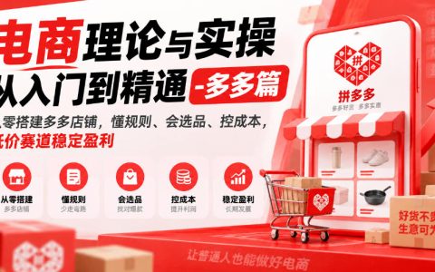 拼多多开店运营实操课：从零搭建店铺，选品推广控成本避罚款