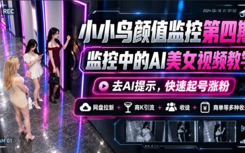AI美女视频监控起号教程：去AI提示+提示词库+网盘拉新变现