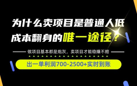 普通人互联网賺第一桶金实操教学，0基础入局拆解底层逻辑