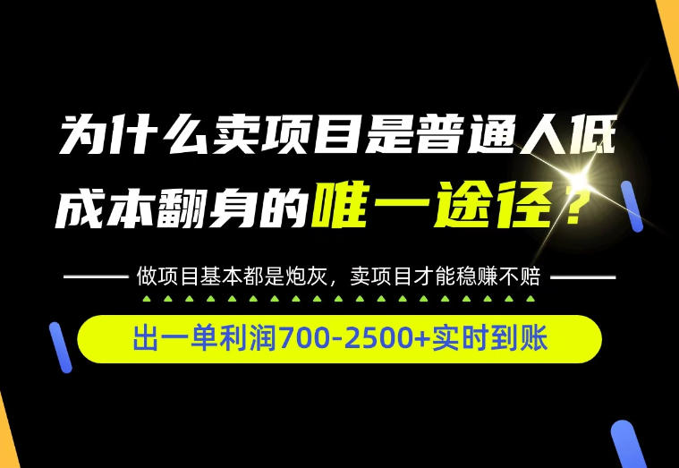 普通人互联网賺第一桶金实操教学，0基础入局拆解底层逻辑