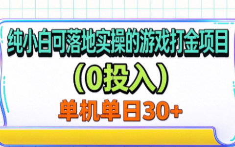 纯小白0投入游戏打金项目：手机电脑可做单机单号变现30+